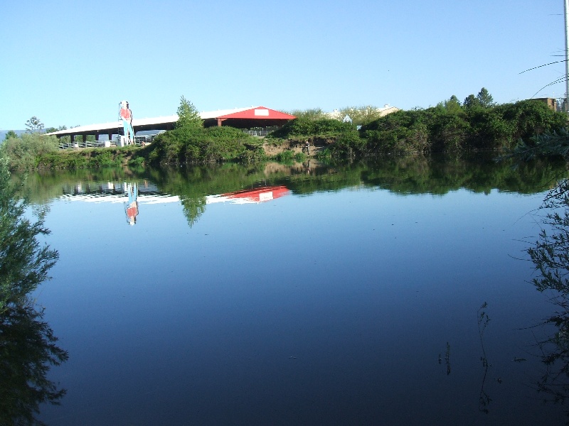 Gate 5 Pond near Butte Falls